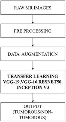 Pre-trained deep learning models for brain MRI image classification